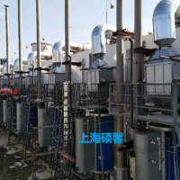 小型燃气锅炉SCR内燃机组脱硝系统设备-上海硕馨