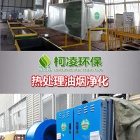 西南地区供应厂家直销油烟净化器/除味器
