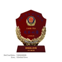 优秀人民警察勋章警察节表彰纪念品高档红水晶奖牌制作厂家
