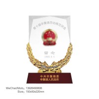 优秀劳模奖牌，十佳团员奖牌，优秀团干部奖牌，优秀少先队员奖章